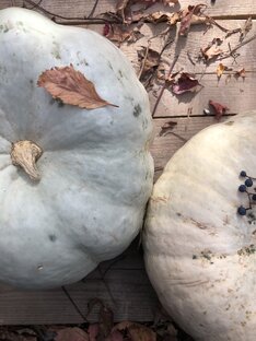 ✨ДЕЙСТВИЯ, КОТОРЫЕ МОТИВИРУЮТ: 