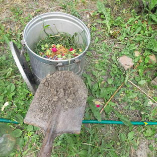 Подкормки, удобрения, мульчирование.