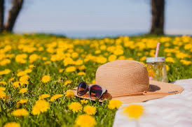 Лето 🌞 