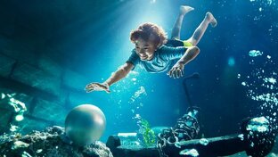 Ловец жемчуга. 