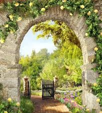 Фильмотека!