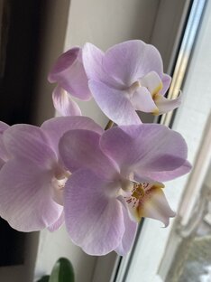 Красота спасет мир!!!