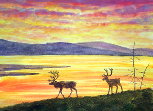 Рисованные истории