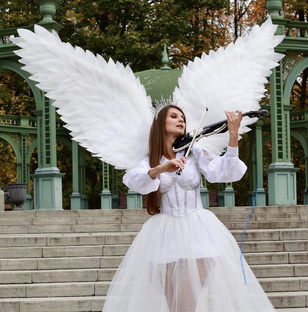 Соло скрипка 