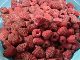 Ягоды всех мастей