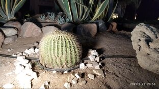 Путешествия и туризм