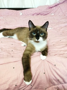 Нашли красавчика