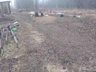 Огород.  2025 год.