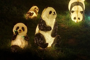 Информация в помощь