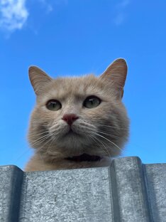 Путешествия по России