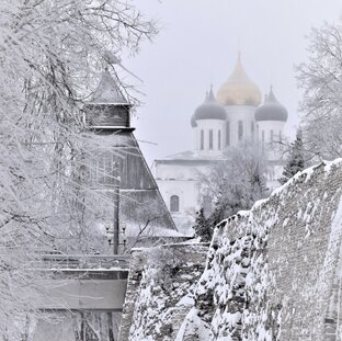 Елена Бузницкая предлагает