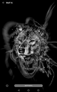 Край мифов и легенд! Беломорск 