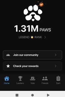 Задания Paws