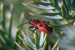 Наш фотоклуб "Ночник"