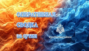 Оперативная сводка