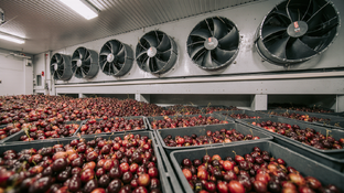 Холодильное оборудование 