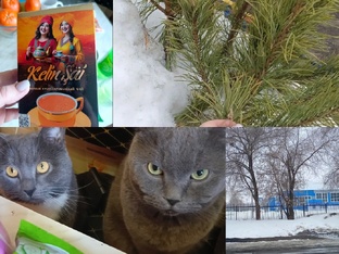 Мои прогулочки, болталочки