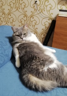 Недоволшебница