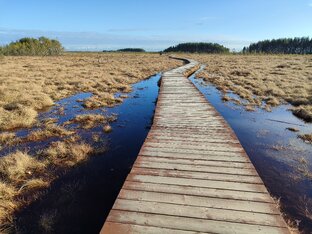 Петербург и Ленобласть