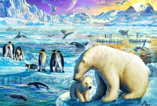 Природа Севера