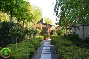 Растения для Ростовской области