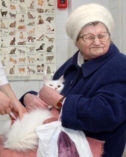 Околоветеринарное
