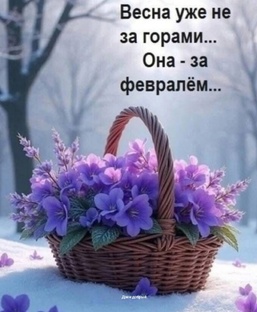 #весна #веснанезагорами #весна_не_за_горами #дзендобрый #дзен_добрый