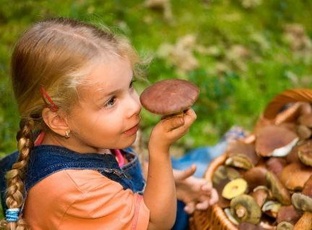  Учим ребенка различать грибы и ягоды