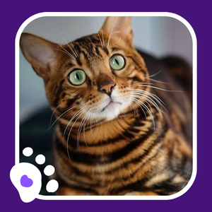 Про здоровье