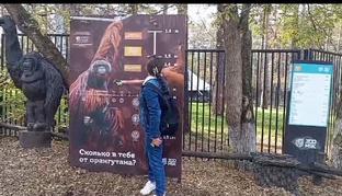 Астрология с ухмылкой. 