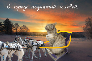 С гордо поднятой головой.