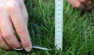 Перфекционизм