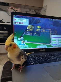  Mr. Anderson / Нео