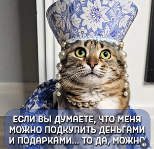 Приколы❤️