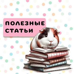 Полезные статьи о морских свинках