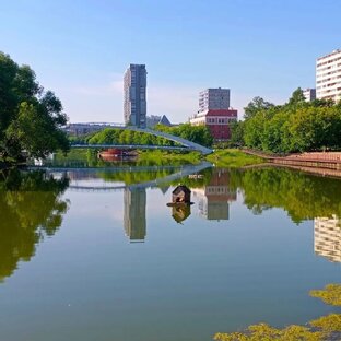 Черкизово