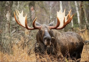 Епифан (4 часть)