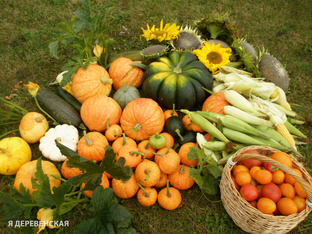 Деревенские будни