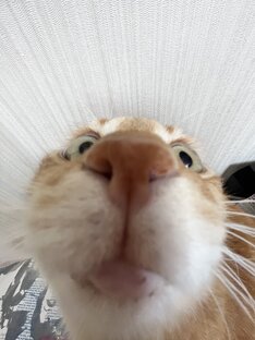 А кто тут у нас…