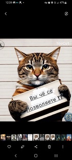 Дальнобоям