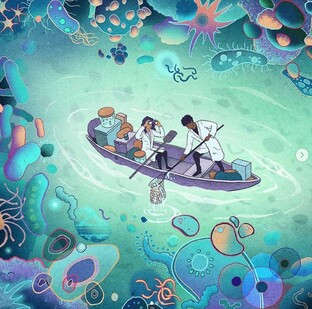 Микробиота и микробиом в норме и патологии