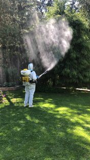 Акарицидная обработка участка от клещей и комаров