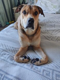 Подготовилась к маникюру