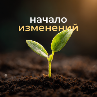 Точка роста 