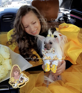 Отдых🐾праздники 🦄ccd