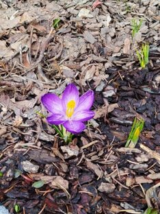 Саморазвитие.