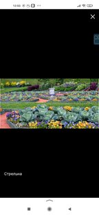 Сад и город 