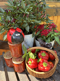 Заготовки и рецепты 