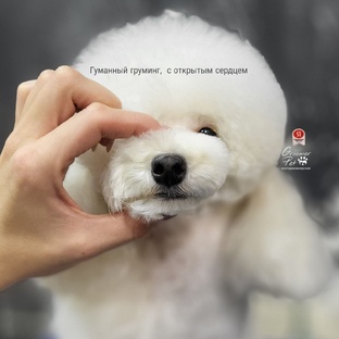 Техника безопасности