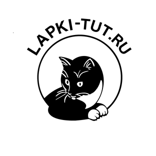 Помощь приюту